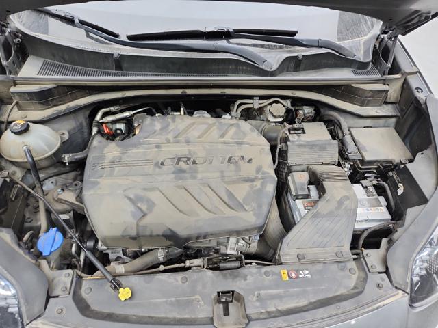 lotterental_095739469_Dx2vR_4.jpg