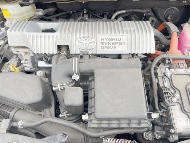 22619969_carP_l_18.jpg