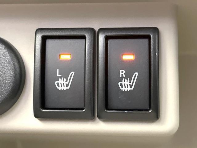 23243558_carP_l_10.jpg