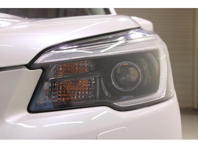 22713913_carP_l_12.jpg