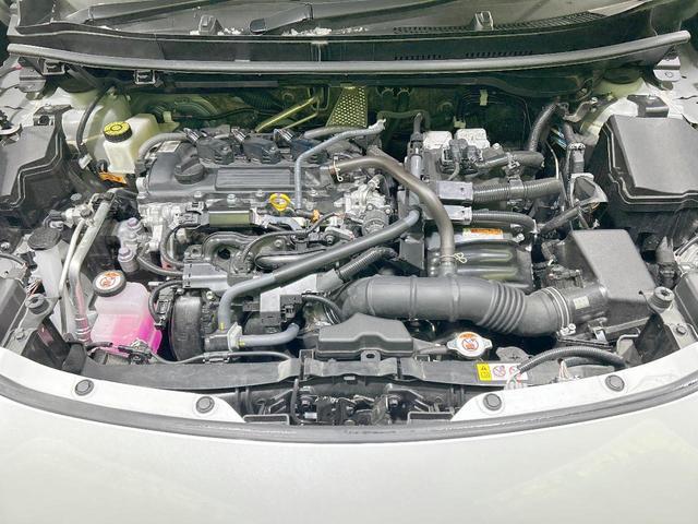 21765234_carP_l_18.jpg