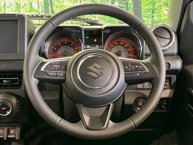 21966643_carP_l_5.jpg
