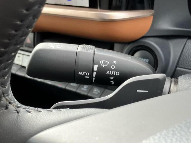 21284134_carP_l_16.jpg