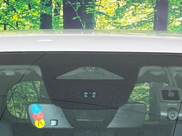 23112330_carP_l_10.jpg