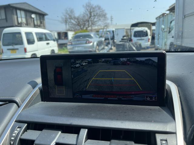 23027927_carP_l_10.jpg