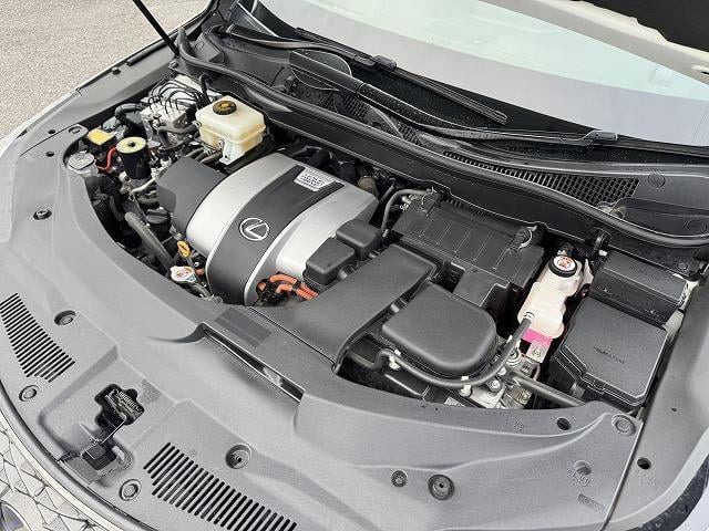 19456831_carP_l_20.jpg