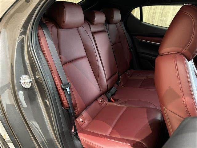 363febe260c623fde955c0cef342c49b.jpg