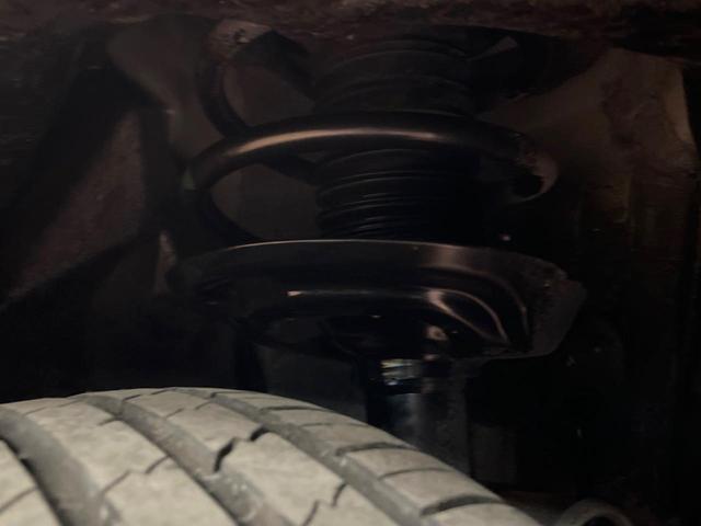 22659881_carP_l_20.jpg