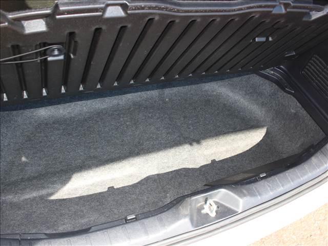 22756319_carP_l_20.jpg