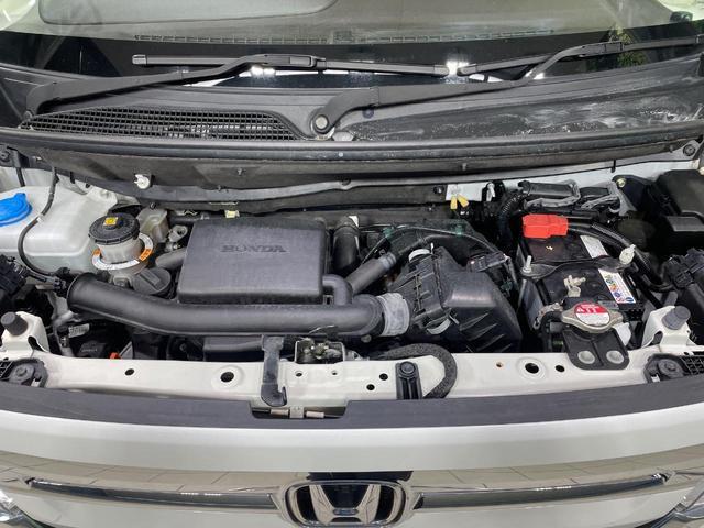 21531881_carP_l_11.jpg