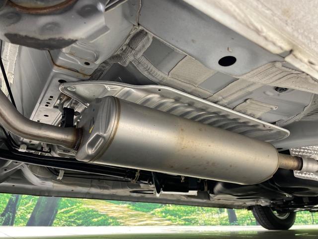 21531881_carP_l_20.jpg