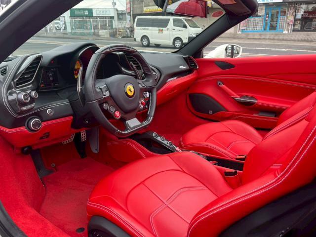 23019552_carP_l_7.jpg