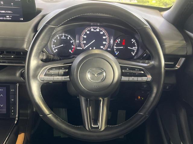 23207951_carP_l_5.jpg