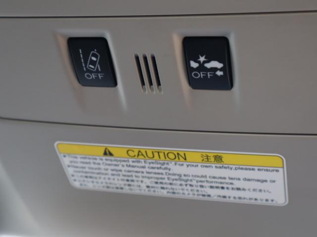 22640295_carP_l_19.jpg