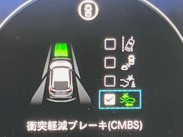 18608689_carP_l_13.jpg