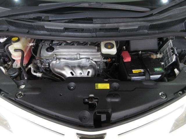 23163418_carP_l_20.jpg