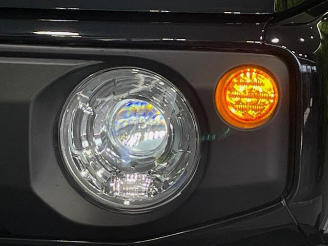 20330135_carP_l_6.jpg