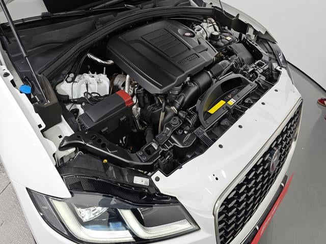 abb3ce48f304a900e498dc53fd8607d1.jpeg