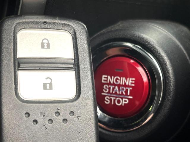 21854095_carP_l_10.jpg