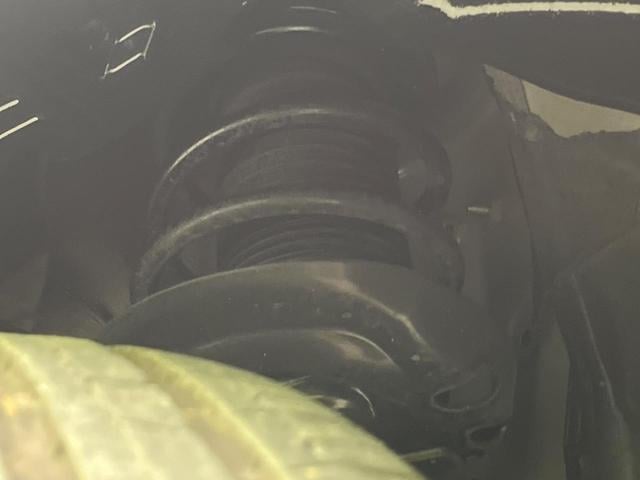 18741762_carP_l_20.jpg