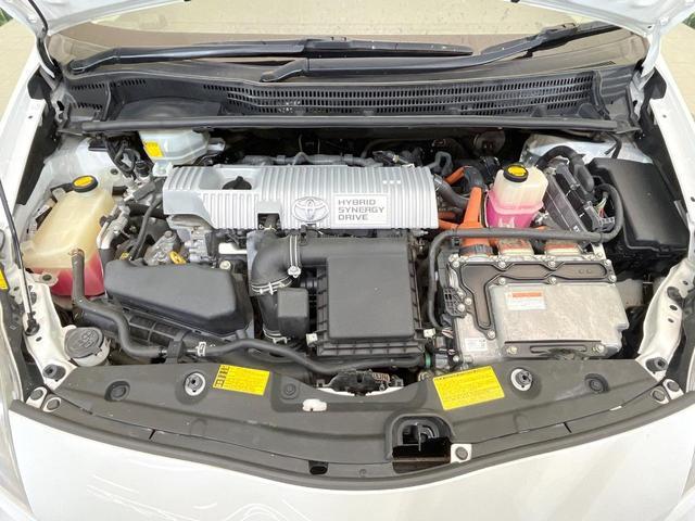 21254077_carP_l_16.jpg