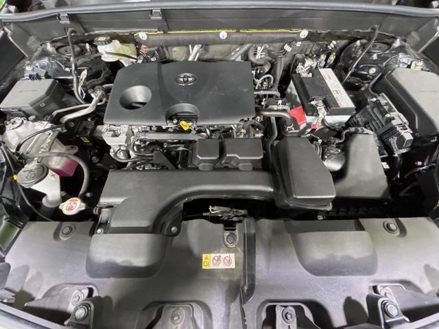 23226311_carP_l_16.jpg