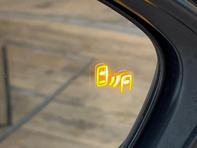 21873876_carP_l_13.jpg