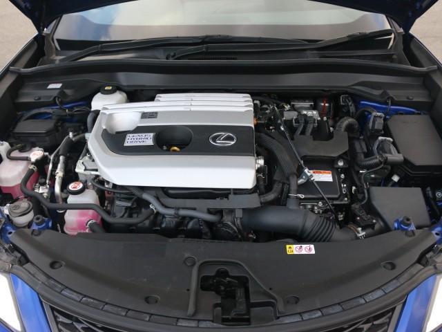 22704183_carP_l_17.jpg