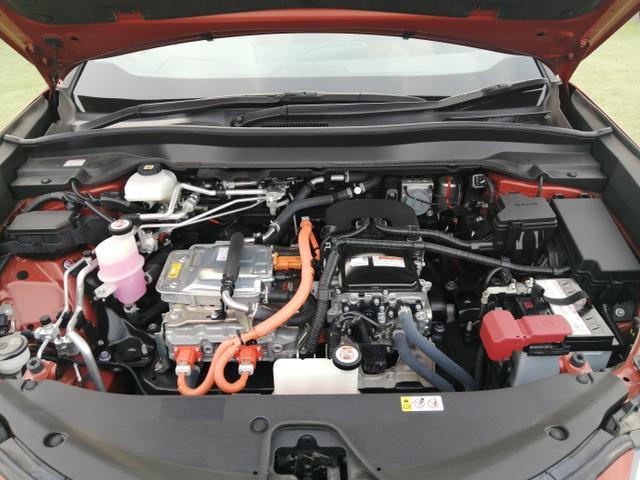 22979807_carP_l_7.jpg