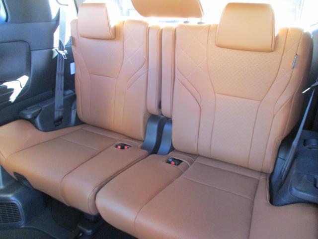 20996627_carP_l_12.jpg