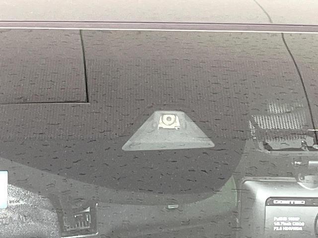 21765031_carP_l_10.jpg