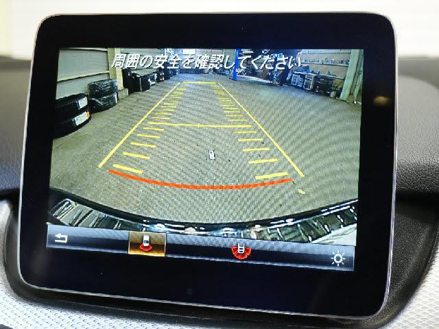 22491999_carP_l_17.jpg