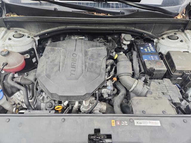 lotterental_144141902_f1luq_6.jpg
