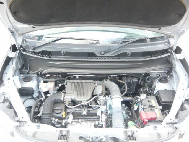 22372537_carP_l_17.jpg