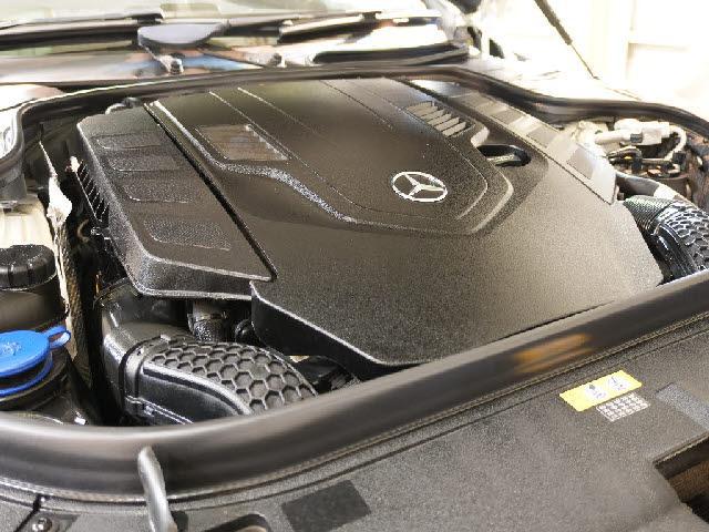 21638191_carP_l_2.jpg