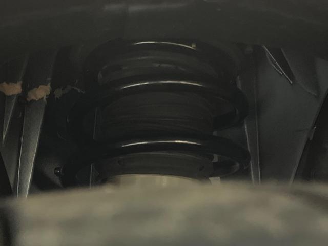 21619091_carP_l_20.jpg