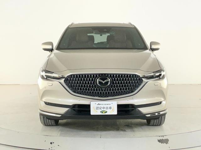 23053078_carP_l_15.jpg