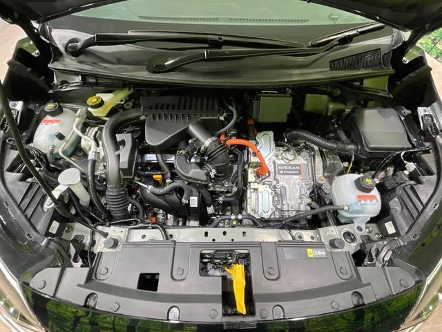 22957126_carP_l_18.jpg
