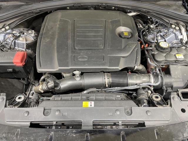 20193457_carP_l_6.jpg