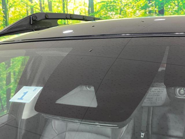 21406837_carP_l_4.jpg