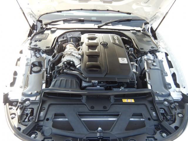 22567783_carP_l_17.jpg