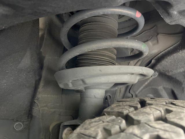 21873670_carP_l_20.jpg