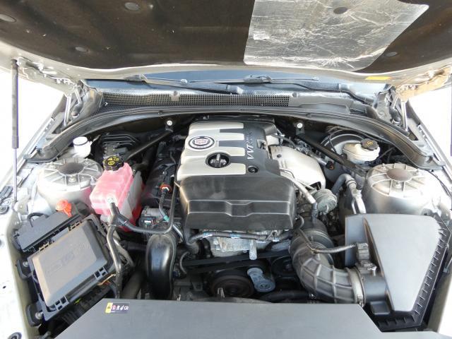 21933323_carP_l_17.jpg