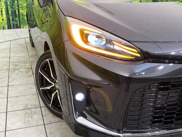 22562944_carP_l_6.jpg