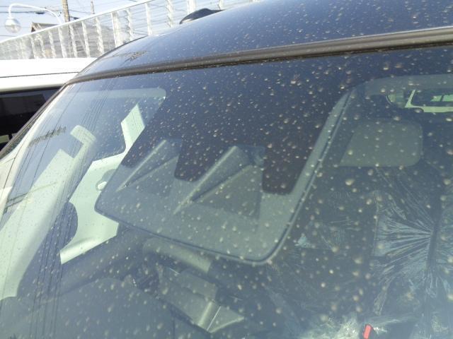 23035756_carP_l_4.jpg