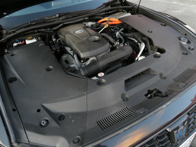 21676941_carP_l_17.jpg