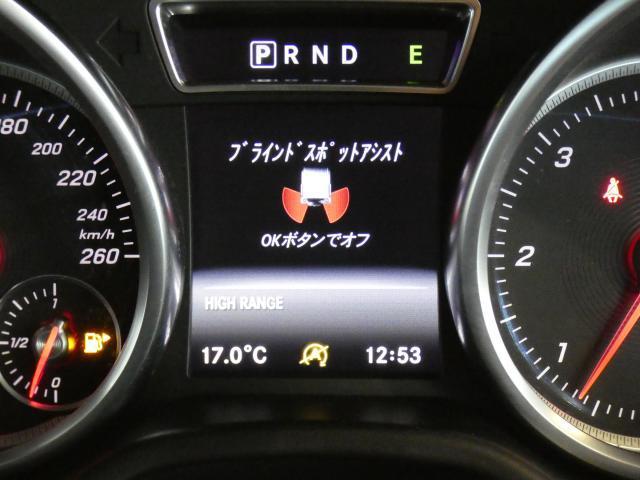 21342962_carP_l_9.jpg