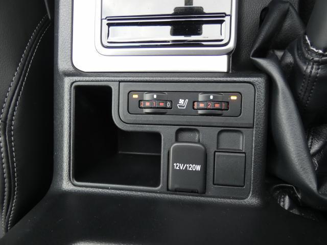 19988357_carP_l_16.jpg