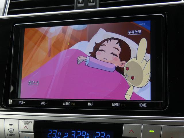 19988357_carP_l_9.jpg