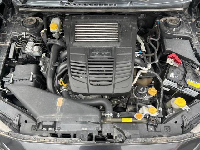 22186953_carP_l_18.jpg